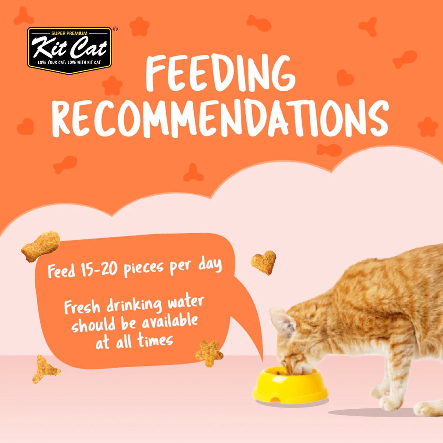 Kit Cat Kitty Crunch Salmon Flavor 60g