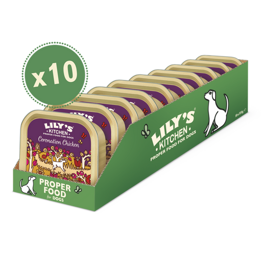 Lily's Kitchen Coronation Chicken Wet Dog Food 150G Pack of 10
