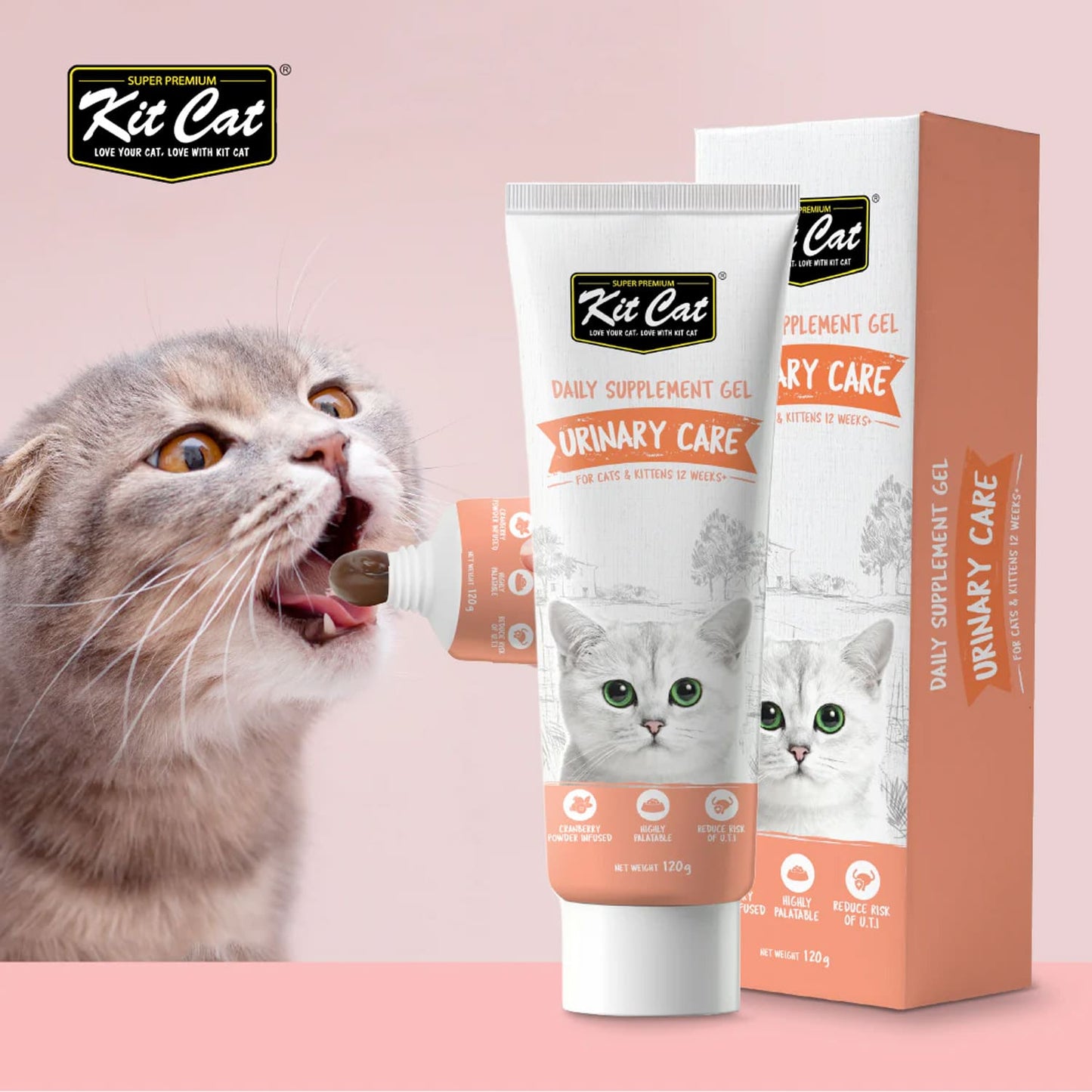 Kit Cat Daily Nutritional Supplement Gel For Cats & Kittens - Urinary Care (120g)
