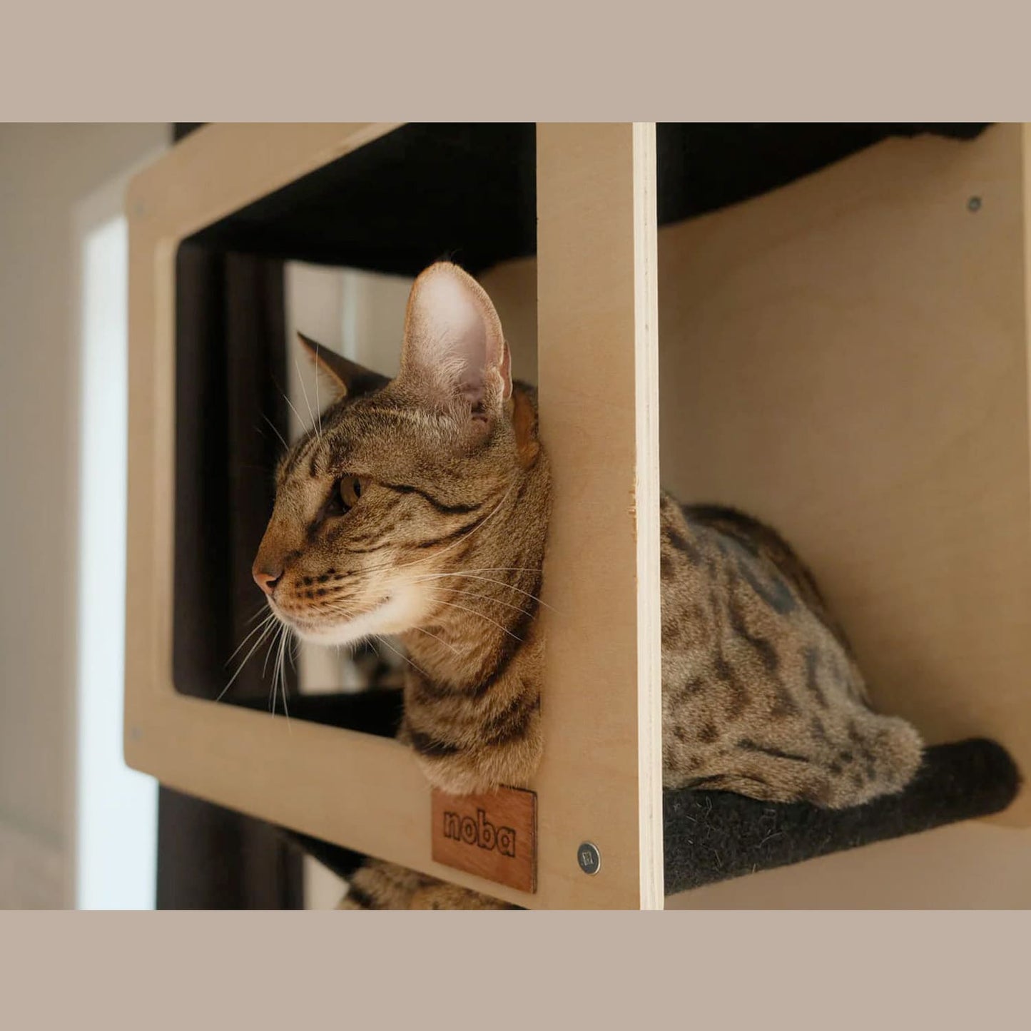 Noba Origin Mural Complete Kit