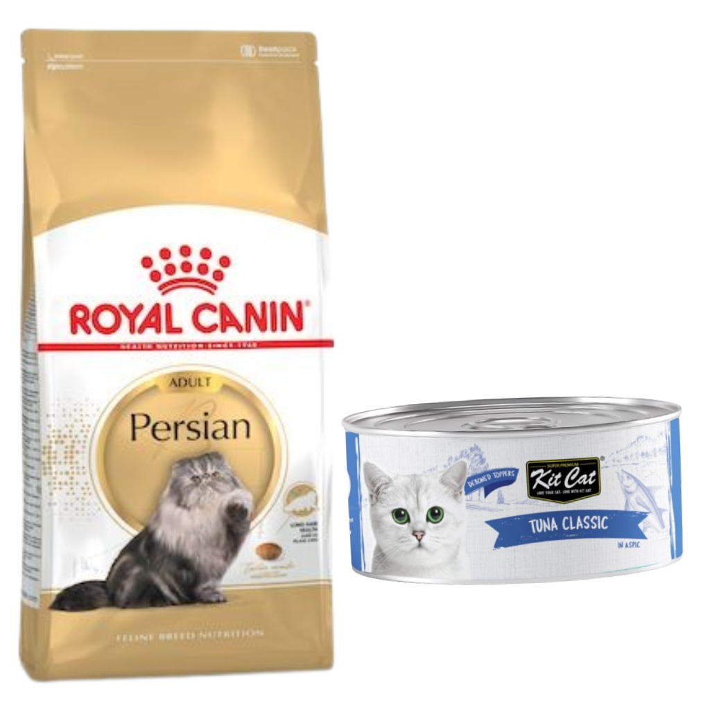 Royal Canin Feline Breed Nutrition Persian Adult 2kg + Kit Cat Tuna Classic 80g