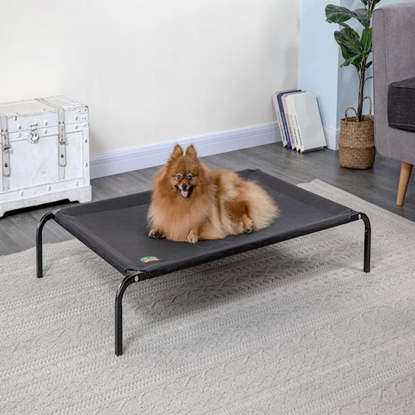Elevated Cooling Pet Cot Bed (Available in 28" to 55") - 46.5"L x 28"W x 7"H