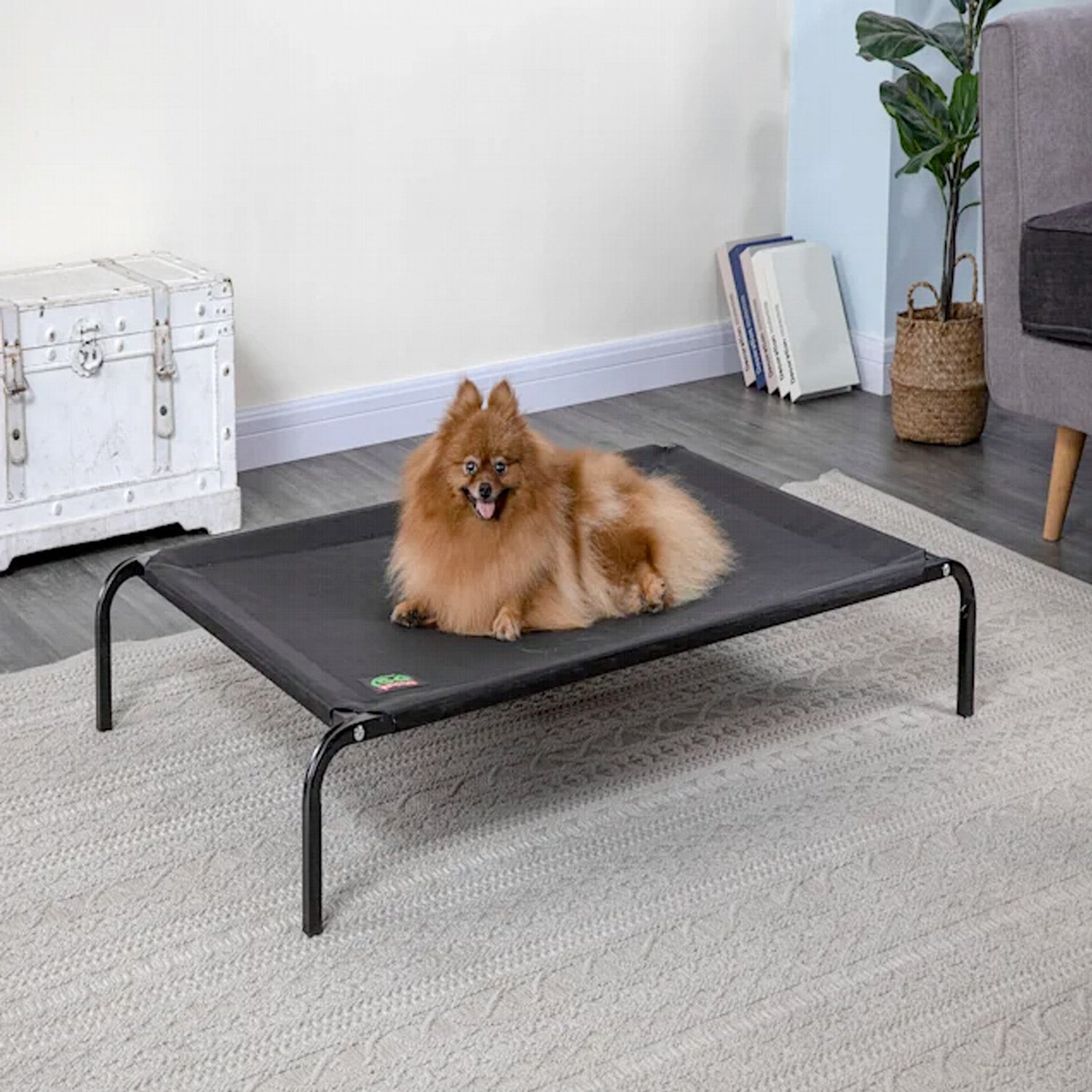 Elevated Cooling Pet Cot Bed (Available in 28" to 55") - 46.5"L x 28"W x 7"H
