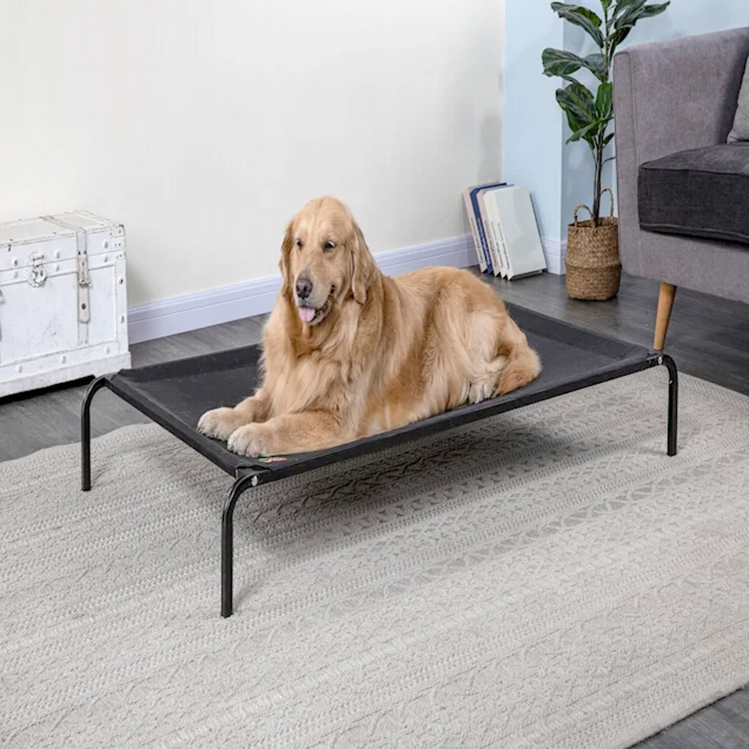 Elevated Cooling Pet Cot Bed (Available in 28" to 55") - 55"L x 32"W x 8"H