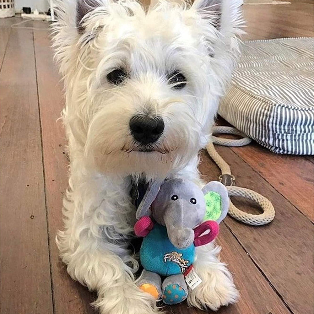 GiGwi Plush Friendz Squeaker Dog Toy - Elephant