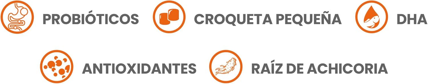 Taste of the Wild Grain Free Premium High Protein Dry Dog Food prairie Puppy Recipe with Roasted Bison & Venison 12.27kg