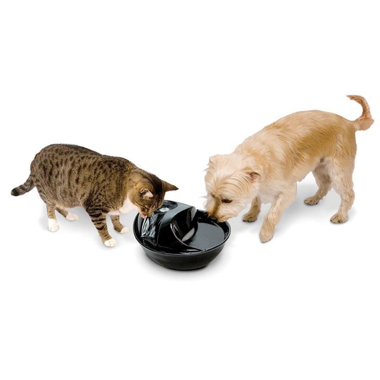 Raindrop Durable Ceramic Pet Fountain 60 oz (Black)