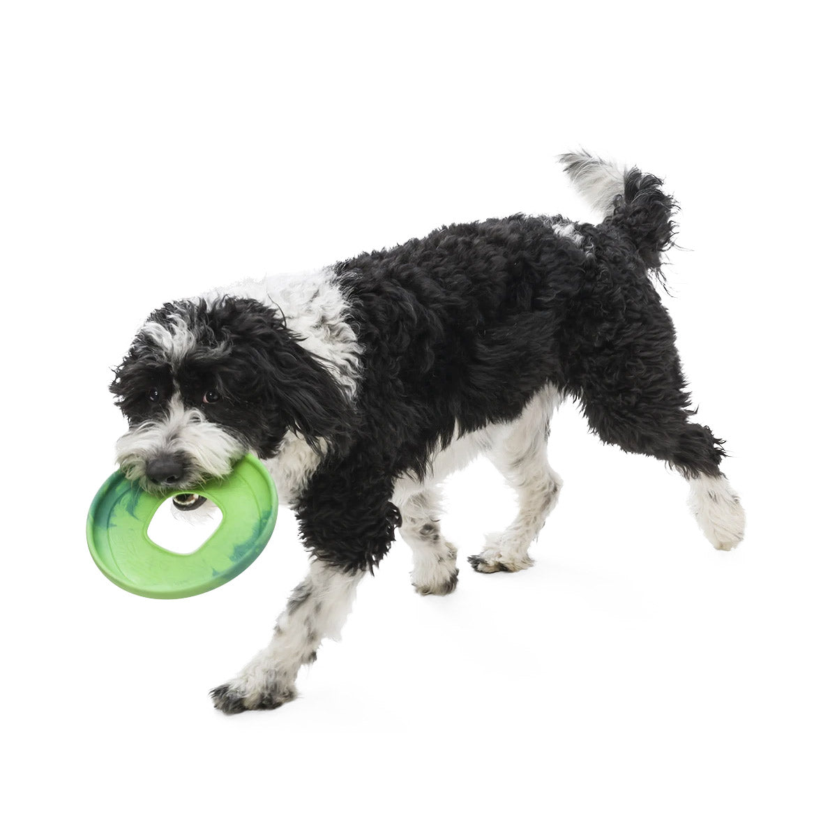 Sailz Seaflex Frisbee Disc Dog Toy