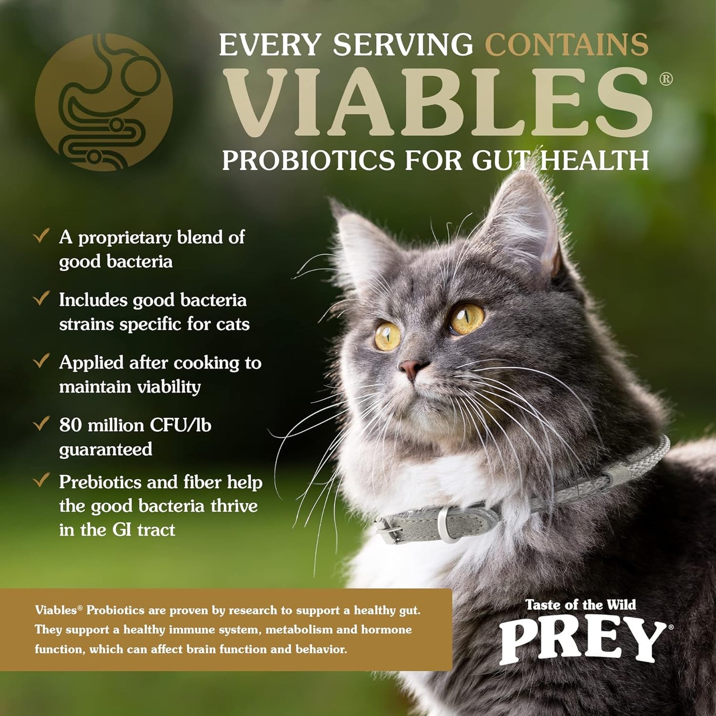 Taste of the Wild Prey Turkey Formula For Cat With Limited Ingredients 2.7kg