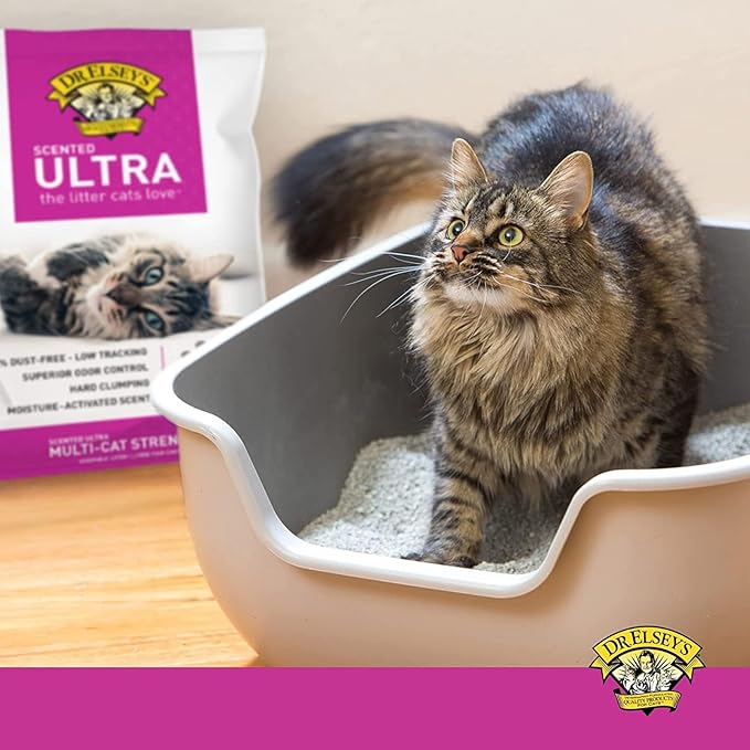 Dr. Elsey’s Precious Cat Ultra Scented Premium Clumping Cat Litter 8kg– 99.9% Dust-Free, Low Tracking, Hard Clumping, Superior Odor Control