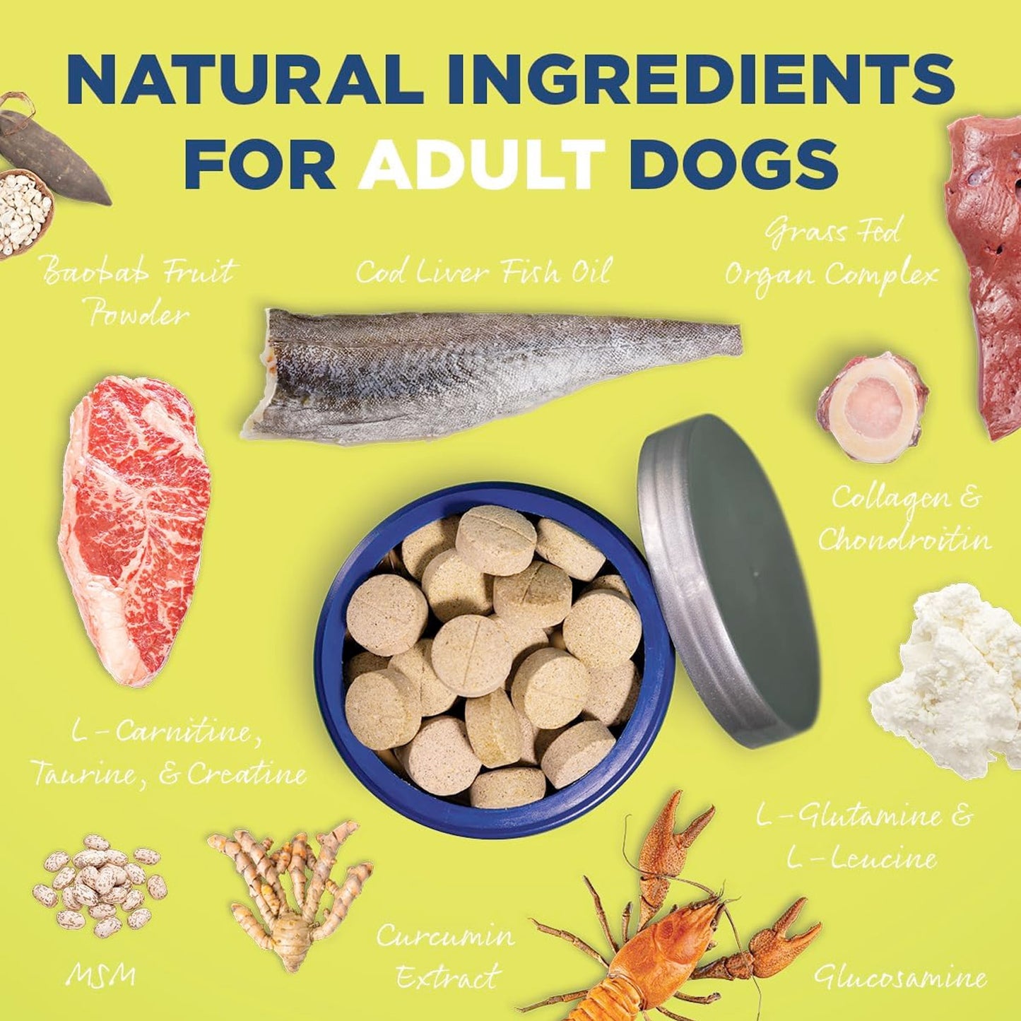 Vetericyn® ALL-IN Dog Supplement - Adult