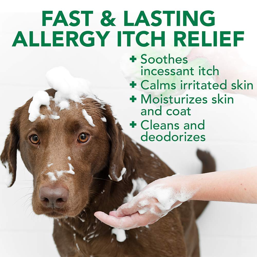 Vet's Best Allergy Itch Relief Dog Shampoo 16 oz
