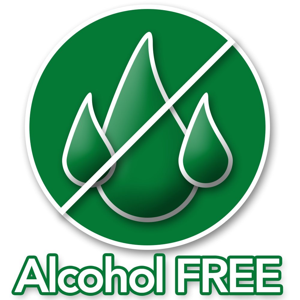 Vet's Best Allergy Itch Relief Spray for Dogs 8 oz