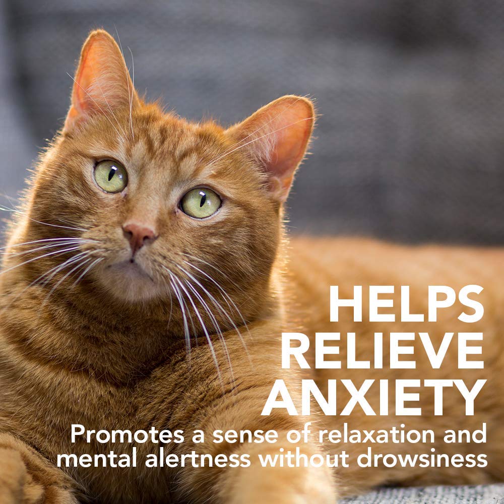 Vet’s Best Comfort Calm Gel