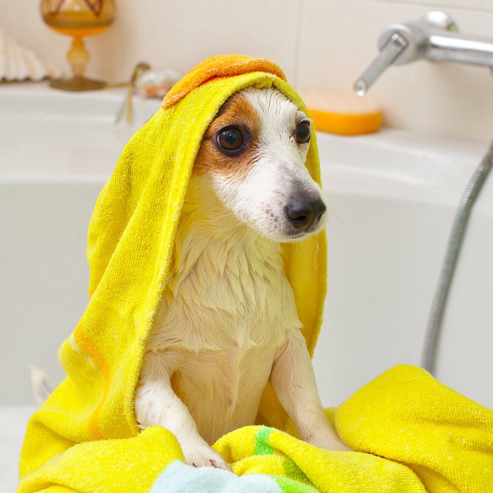 Vet's Best Flea Itch Relief Shampoo 16-oz