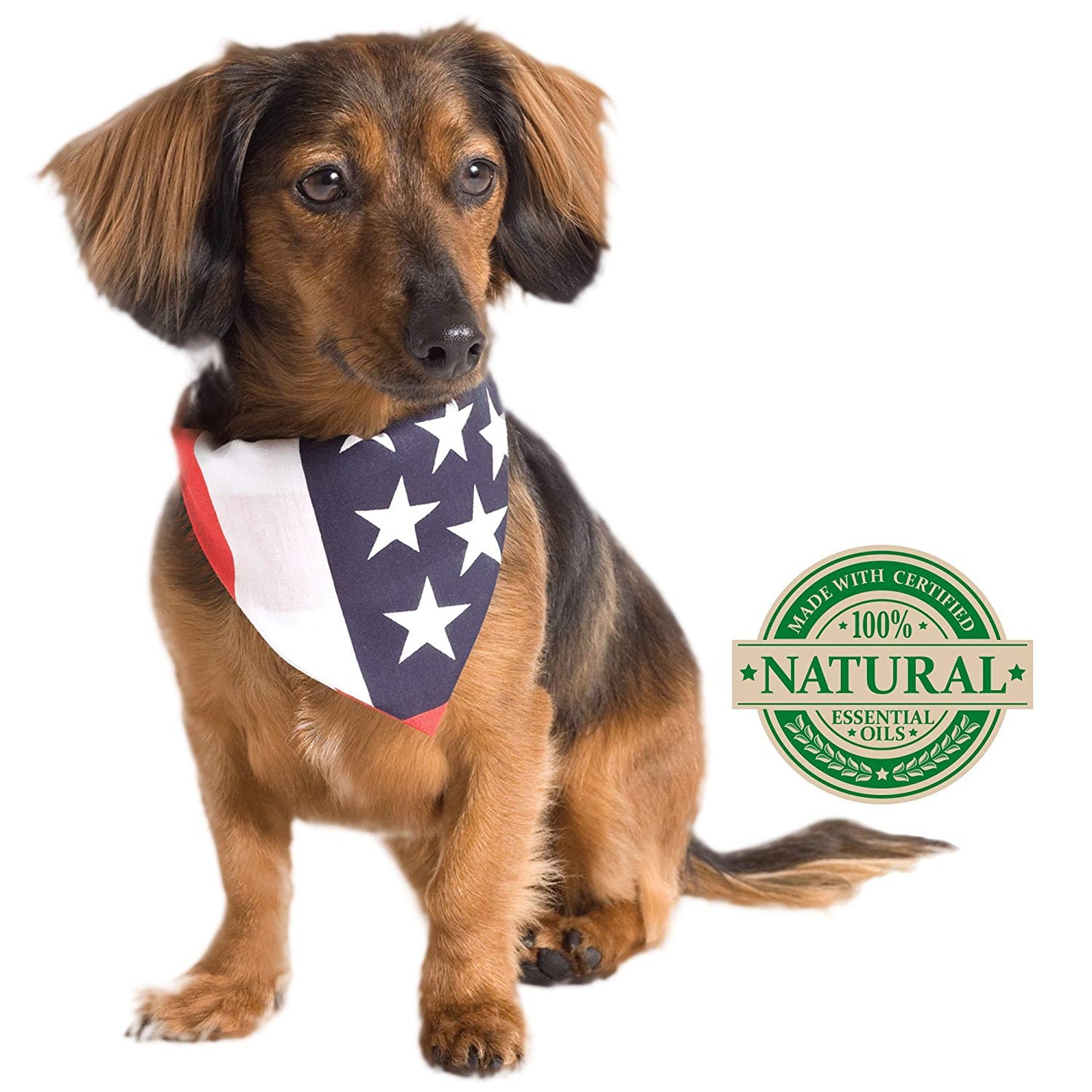 Vet's Best Flea & Tick Spot On