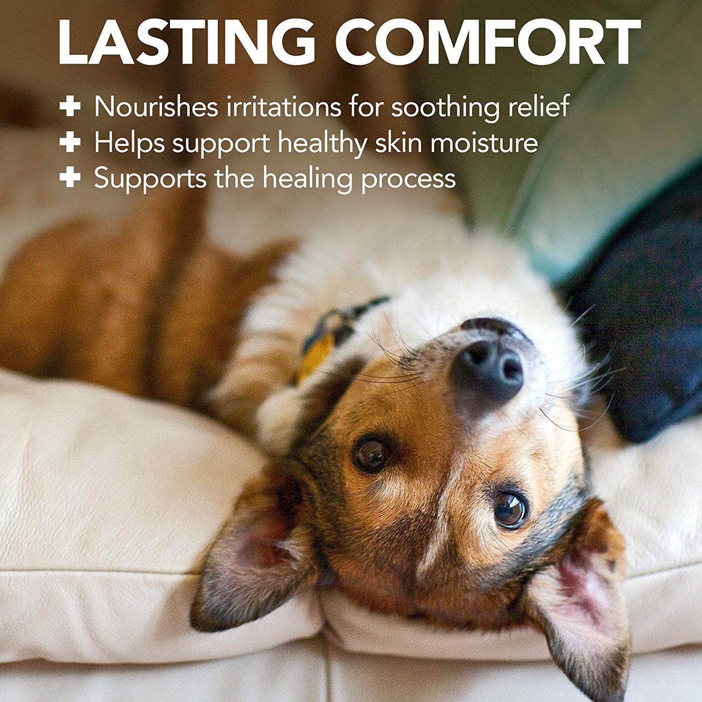 Vet's Best Hot Spot Foam (4oz)