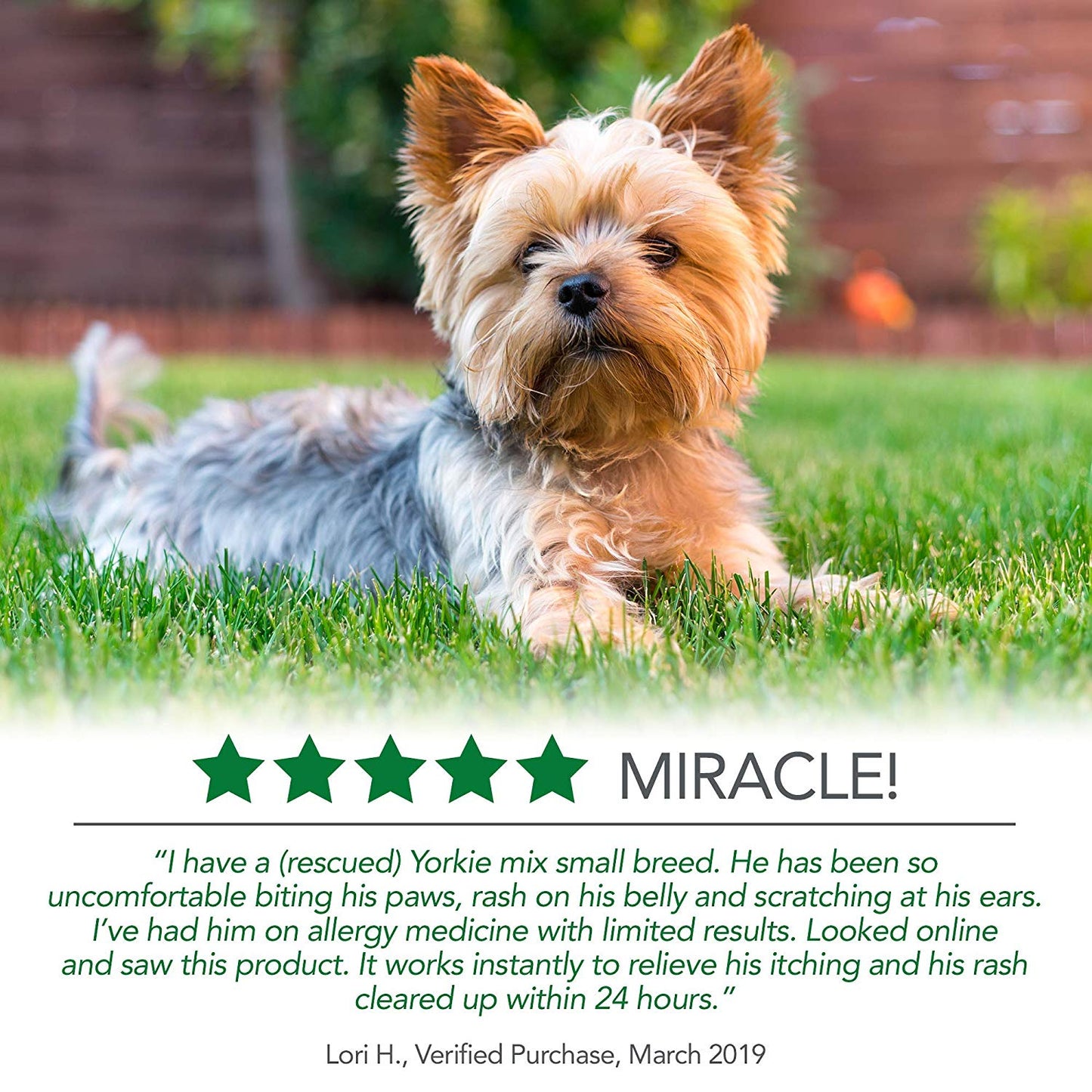 Vet's Best Hot Spot Foam (4oz)