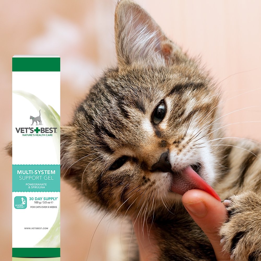 Vet’s Best Multisystem Support Gel