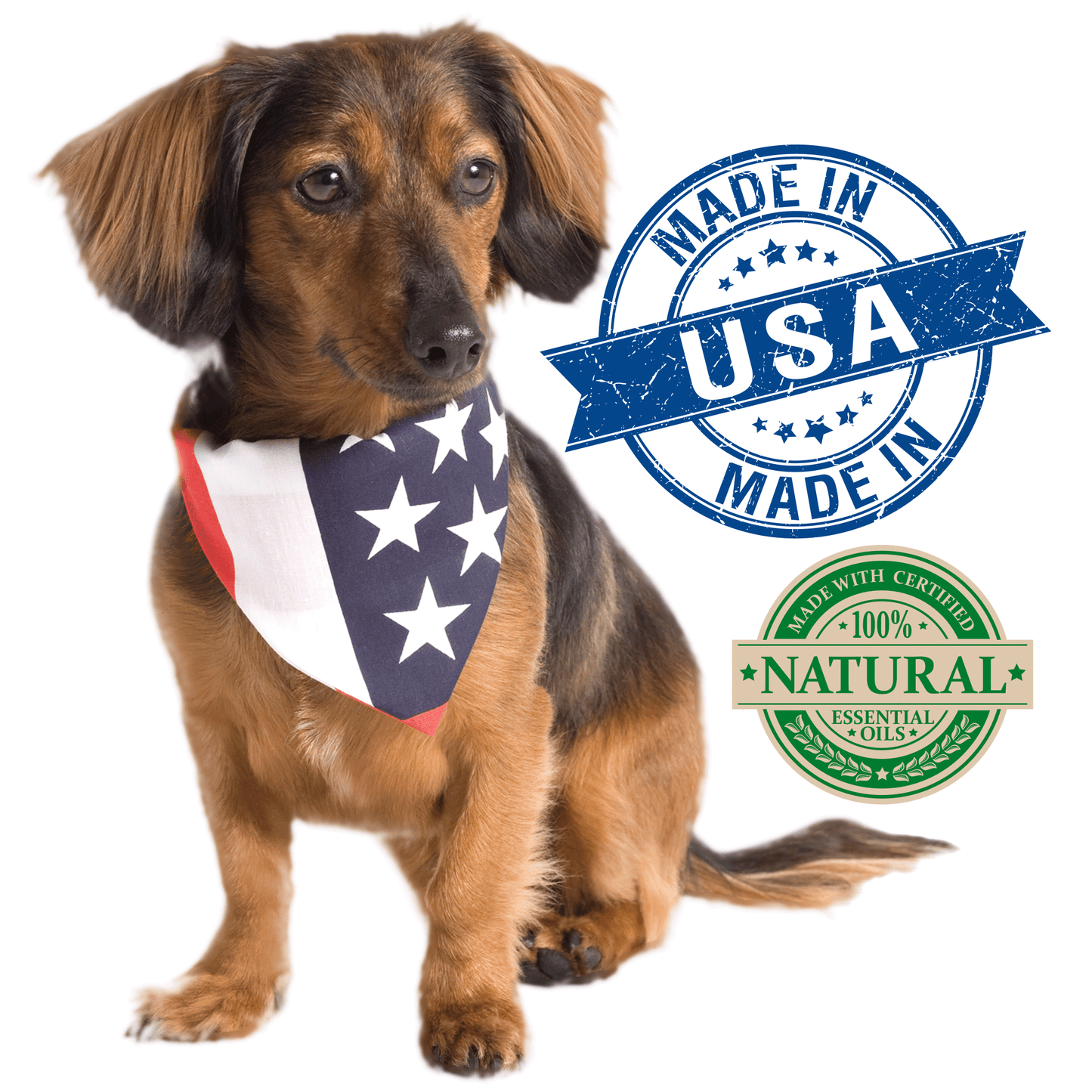 Vet's Best Natural Anti-Flea Easy Spray Shampoo (16 oz)