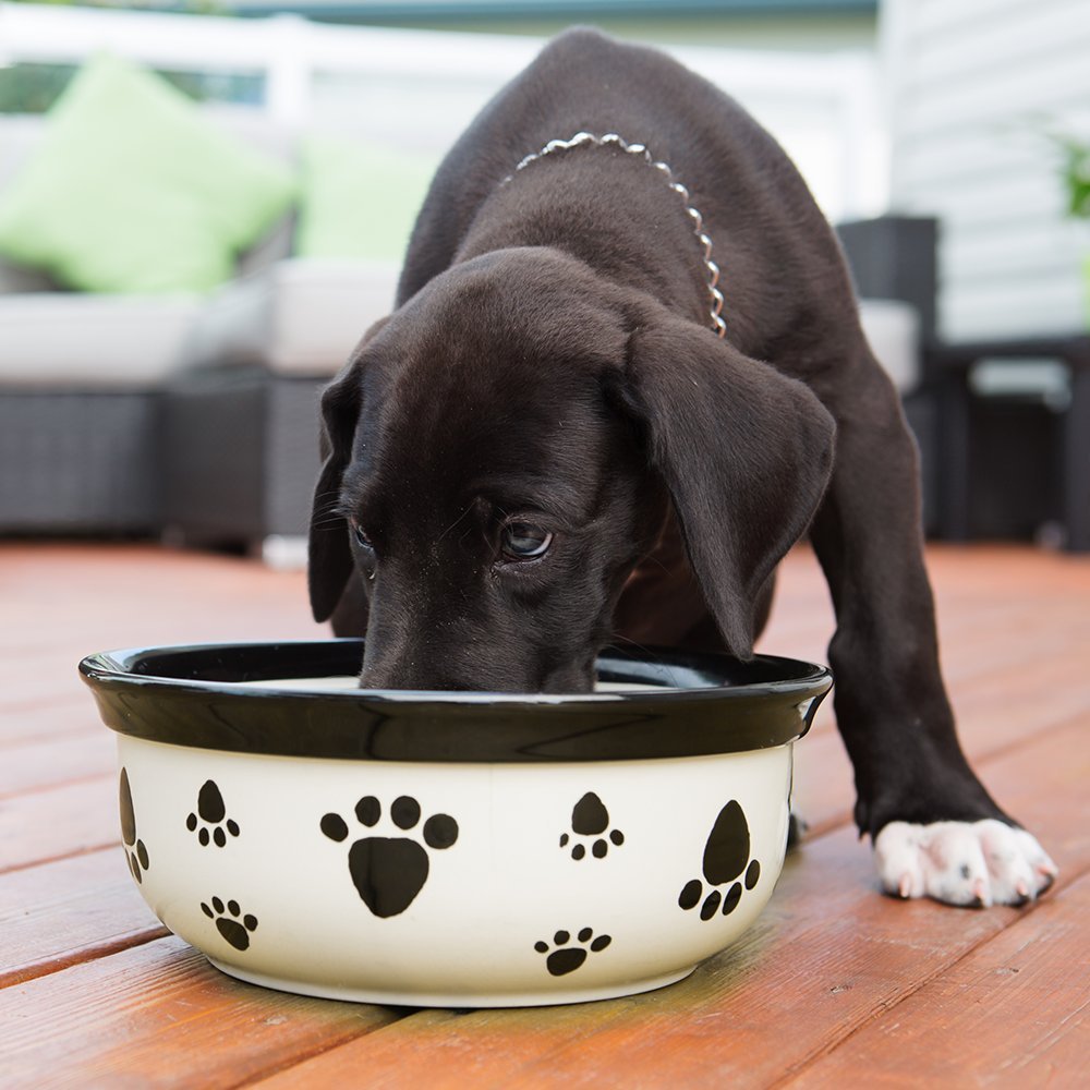 Vet's best Breath Freshener 500ml