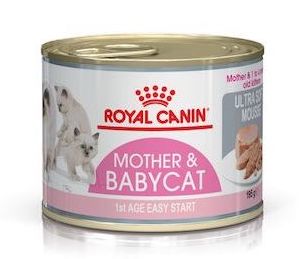 Royal Canin Feline Health Nutrition Mother & Babycat Mousse (Wet Food   Cans) 12 x 195 g