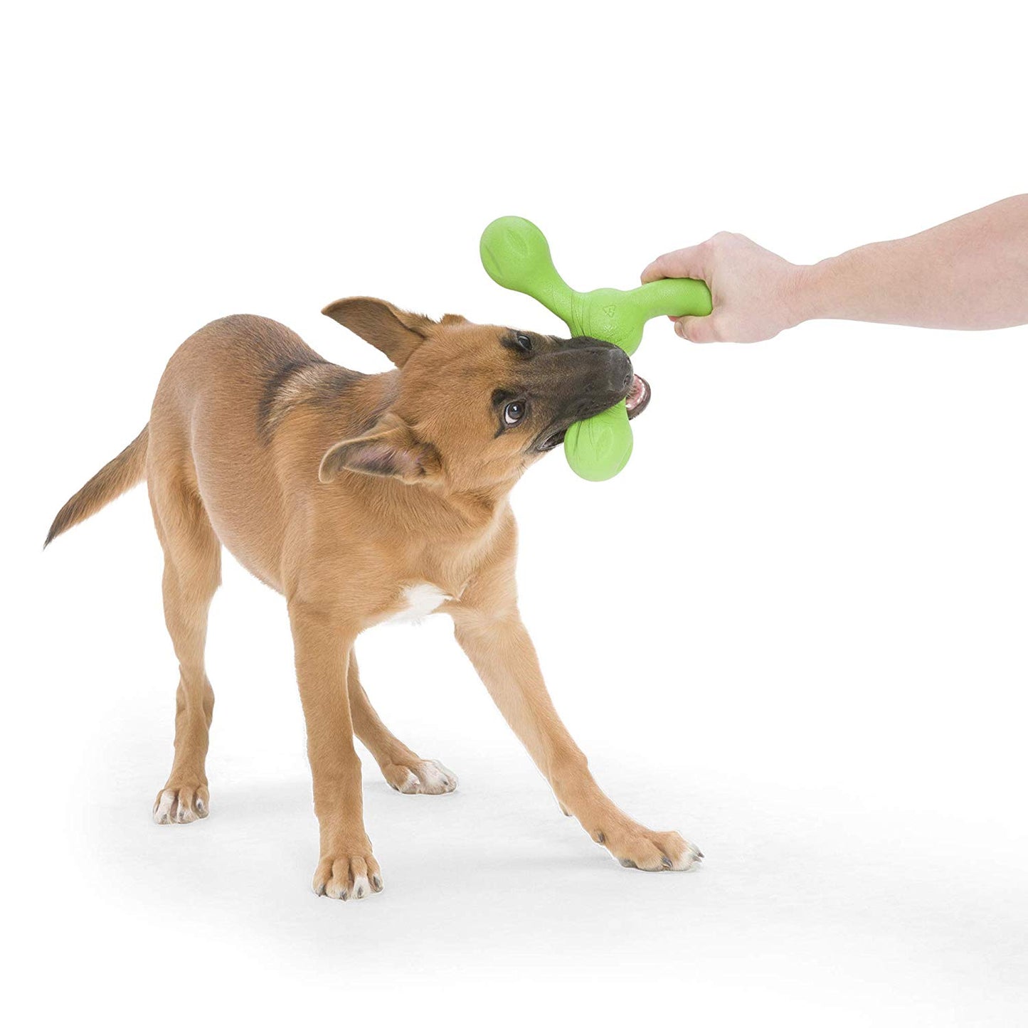 Westpaw Design Skamp with Zogoflex Echo