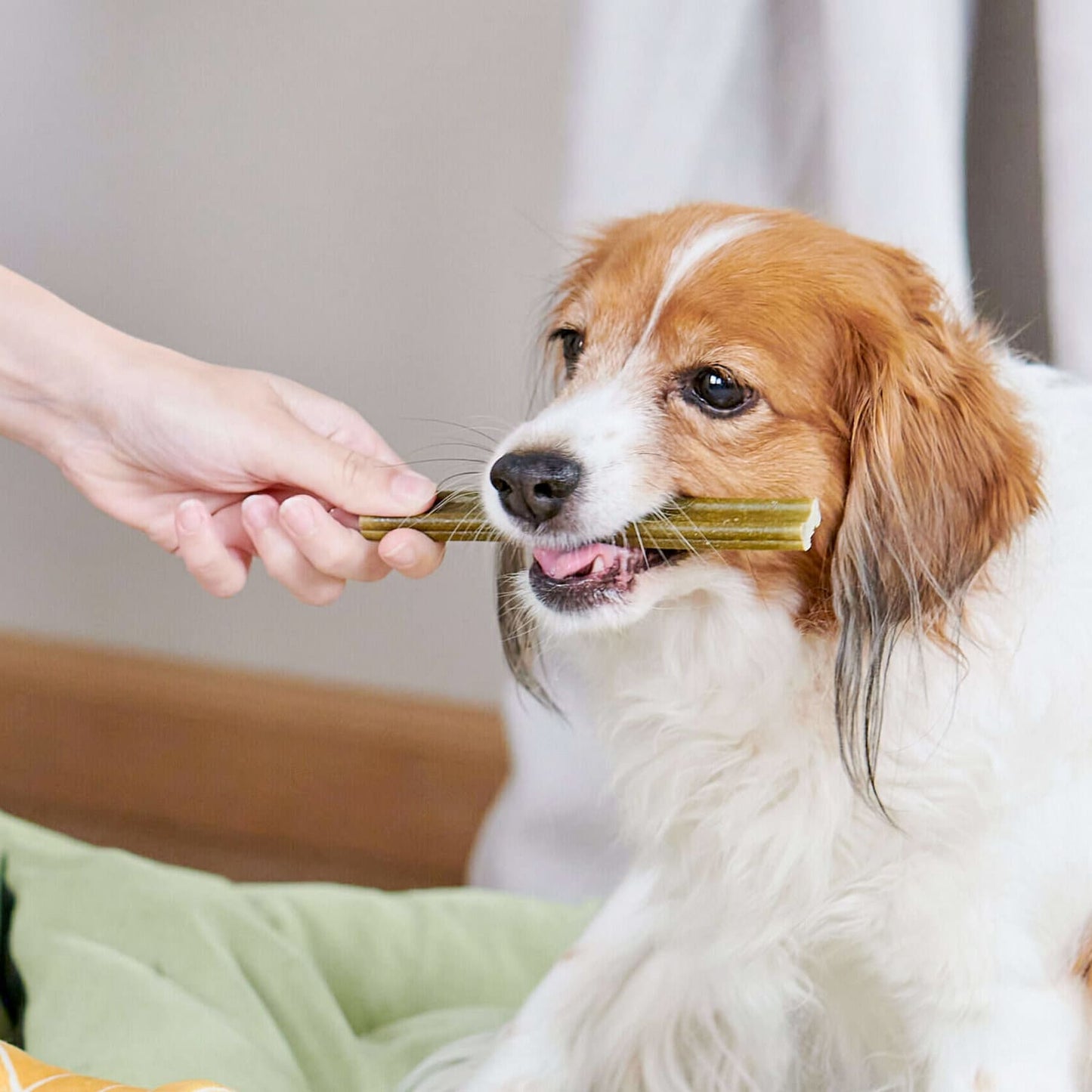 Whimzees Soft Daily Dental Dog Treats Value Bag -  Medium (14 pcs)