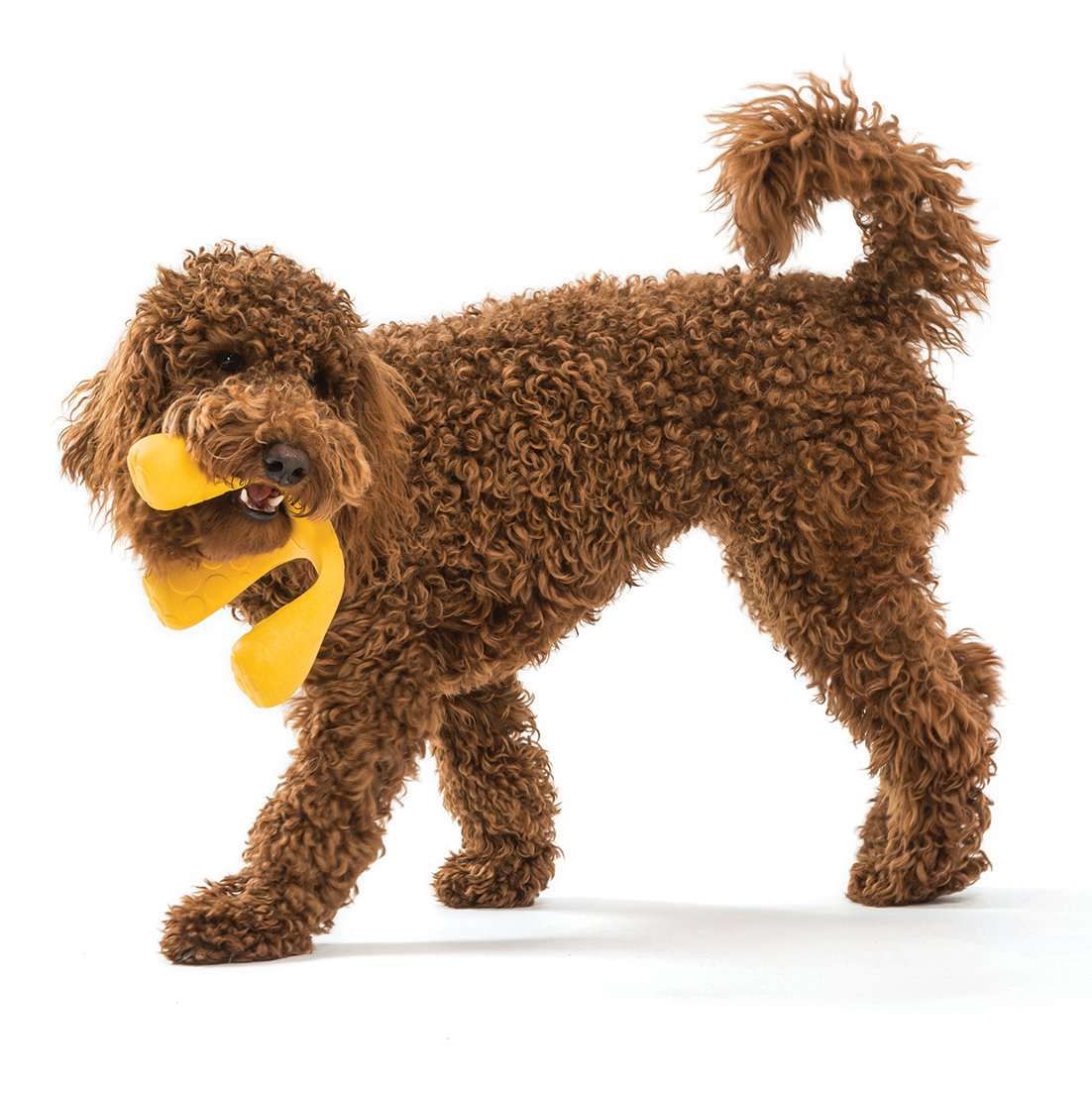 Wox Dog Toy