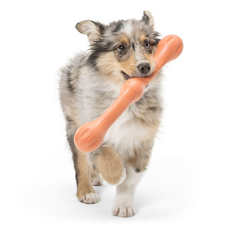 Zwig Dog Toy