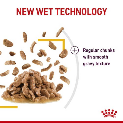 Royal Canin Feline Health Nutrition Sensory Taste Gravy (Wet Food   Pouches) 12 x 85 g