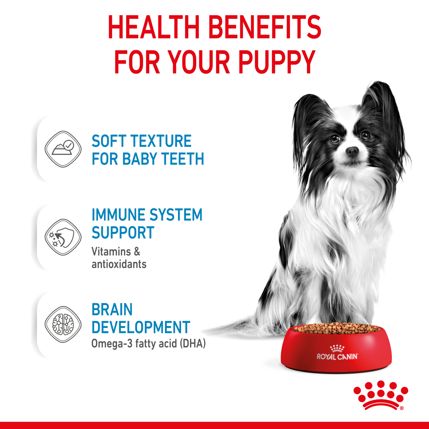 Royal Canin Size Health Nutrition XS Puppy 1.5 kg