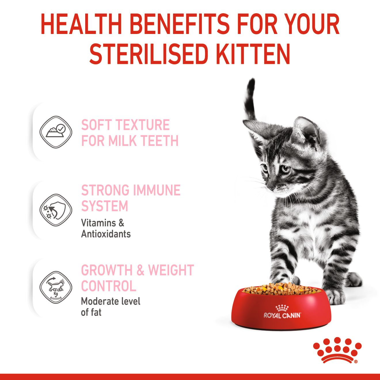 Royal Canin 12 x 85 gm Feline Health Nutrition Kitten Sterilised Jelly (Wet Food Pouches)