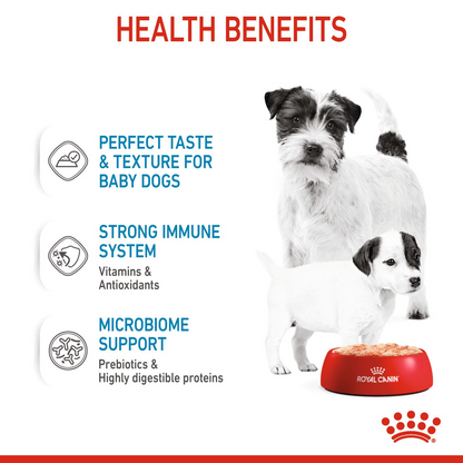 Royal Canin Canine Health Nutrition Starter Mousse (Wet Food   Cans) 12 x 195 g