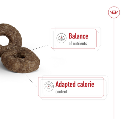 Royal Canin Size Health Nutrition Mini Ageing 12+ 1.5 kg
