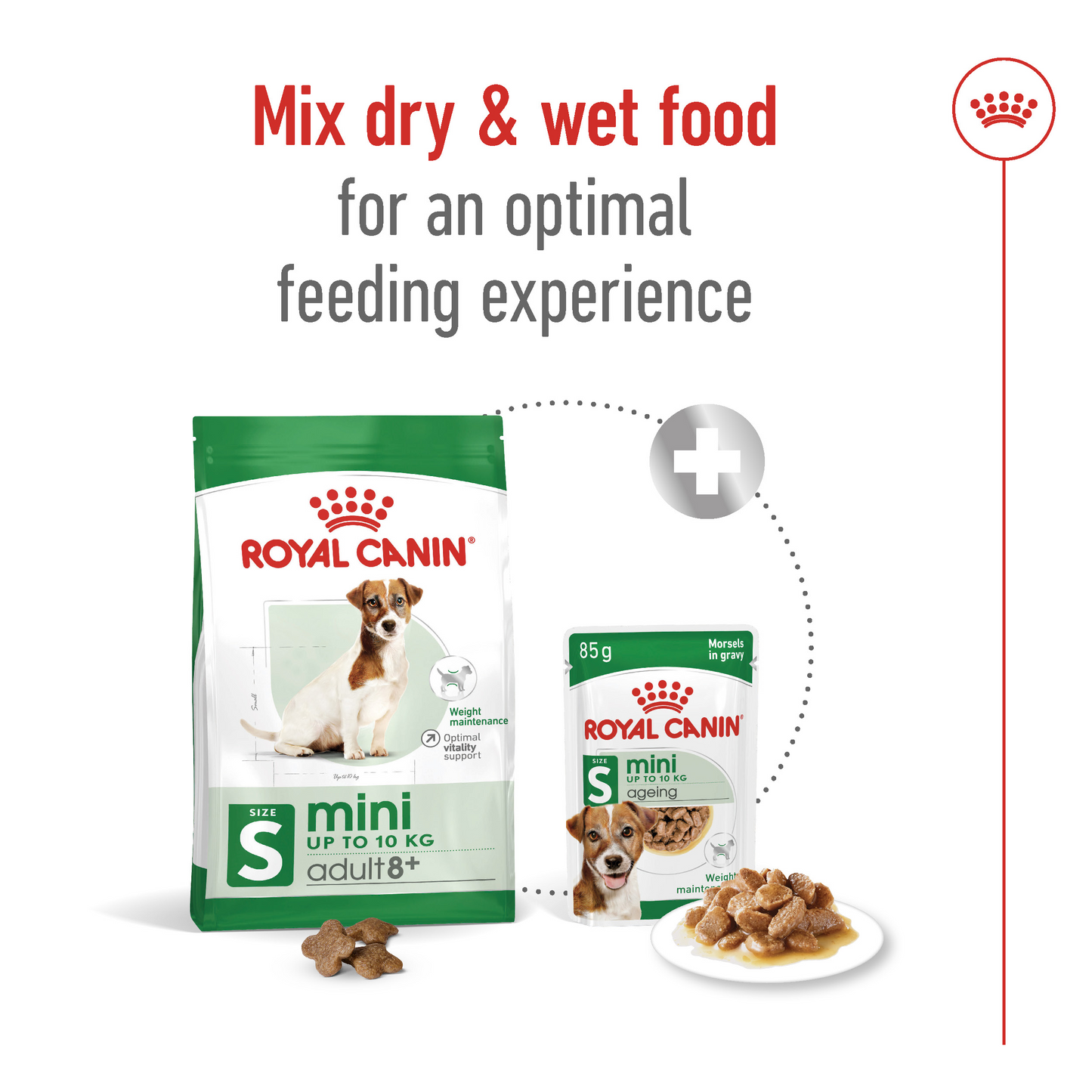 Royal Canin 2 kg Size Health Nutrition Mini Adult 8+
