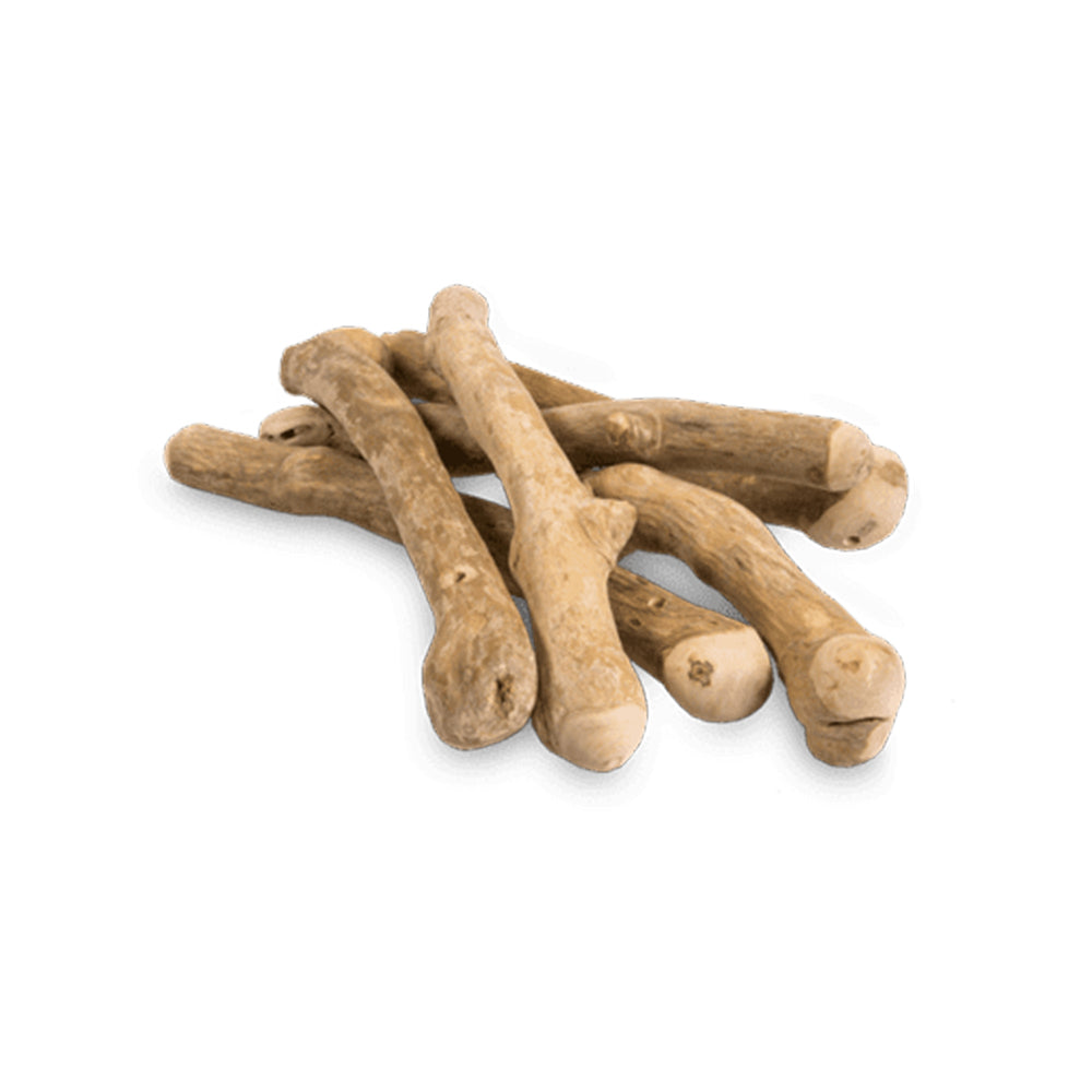 Bunny Nature Coffeewood