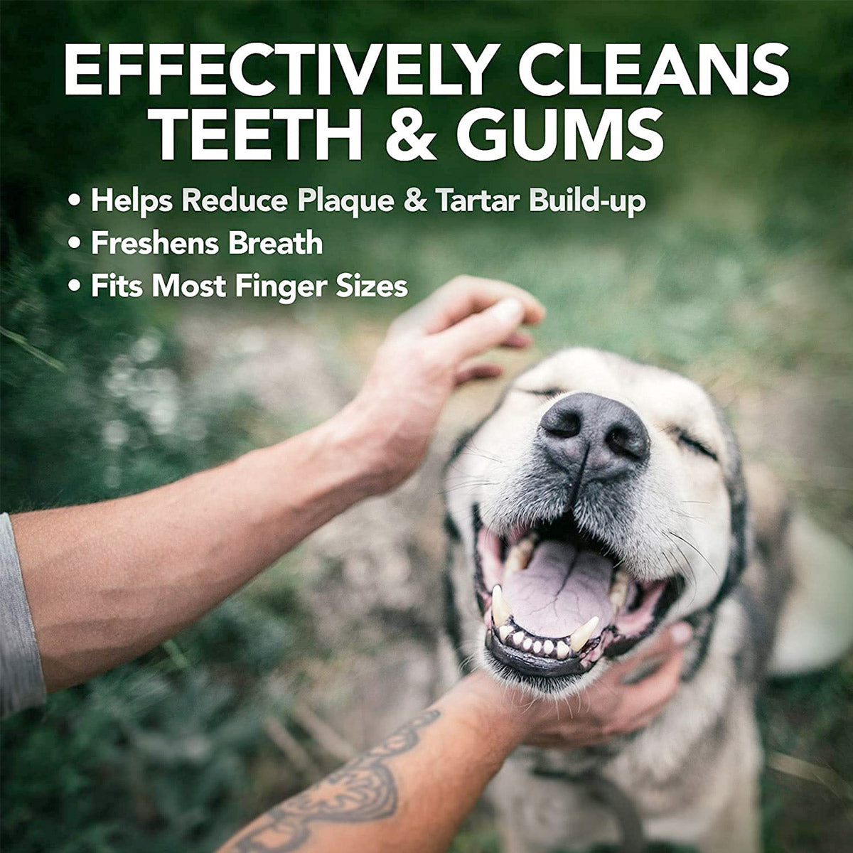 Vet's Best Clean Teeth Finger Pads (50 Pads)