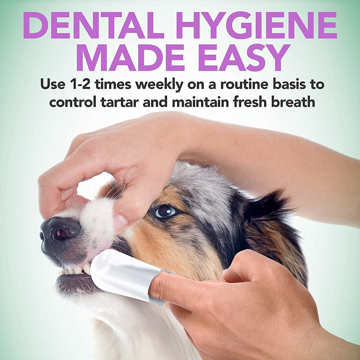 Vet's Best Clean Teeth Finger Pads (50 Pads)