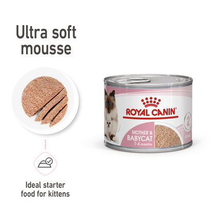 Royal Canin Feline Health Nutrition Mother & Babycat Mousse (Wet Food   Cans) 12 x 195 g