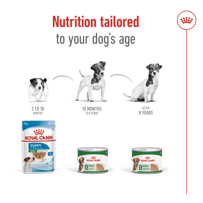 Royal Canin Size Health Nutrition Mini Adult (Wet Food - Can) 12 x 195 g