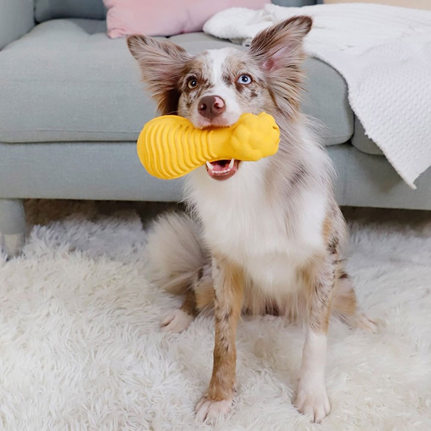 GiGwi DUMBBELL HEADS Lion - Squeak and stuffable