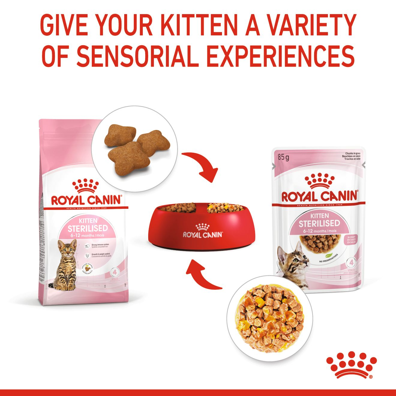 Royal Canin 12 x 85 gm Feline Health Nutrition Kitten Sterilised Gravy (Wet Food Pouches)