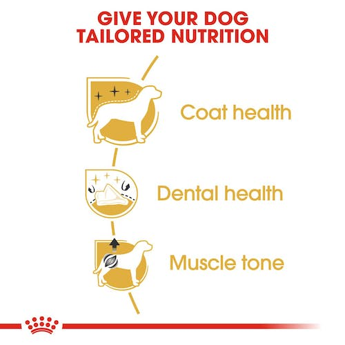 Royal Canin Breed Health Nutrition Poodle Adult 7.5kg