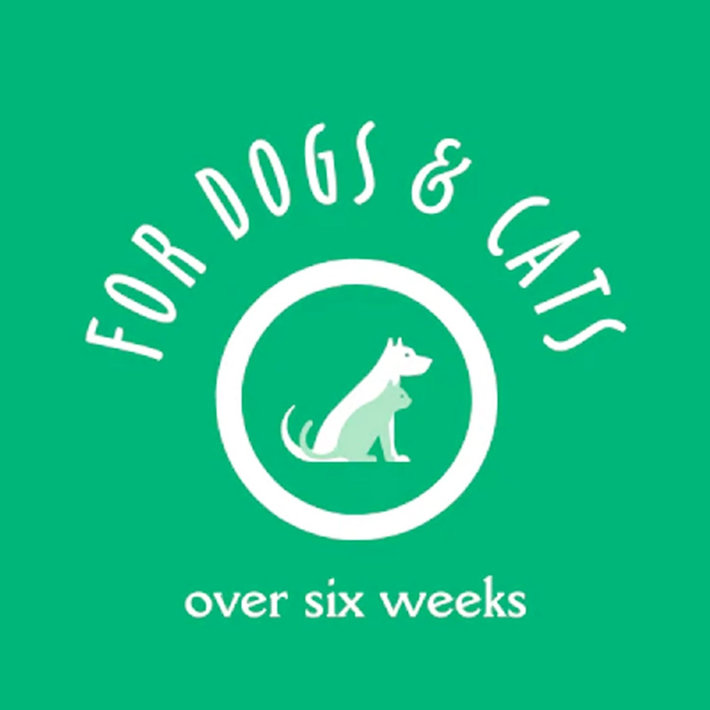 Earthbath Tooth & Gum Wipes - 50 Pet Wipes