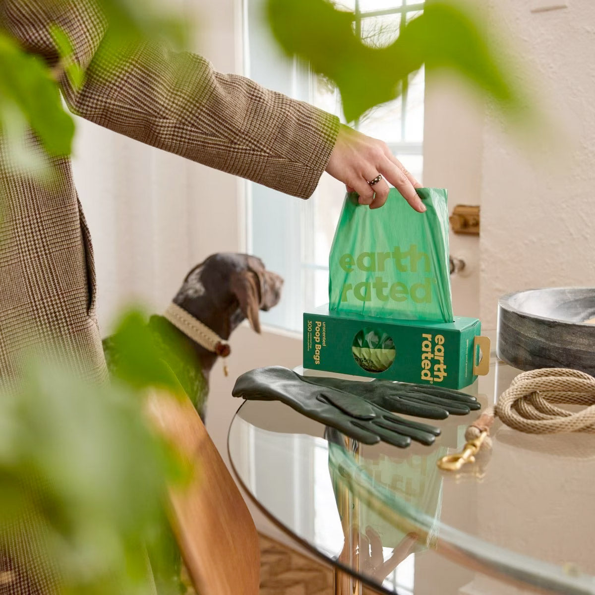 Earth Rated Dog Poop Bags - Bulk Single Roll ( 300 Bags)