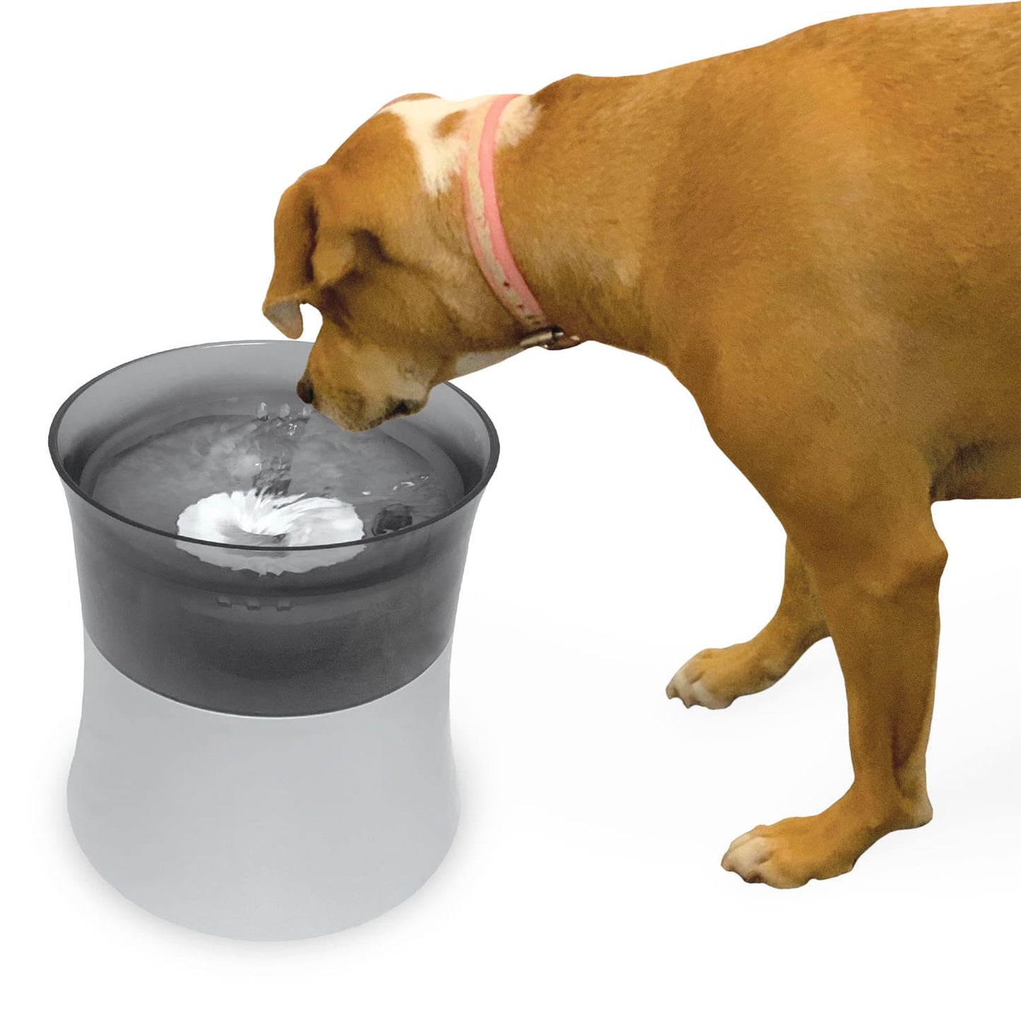 Elevated Vortex Drinking Fountain 128oz