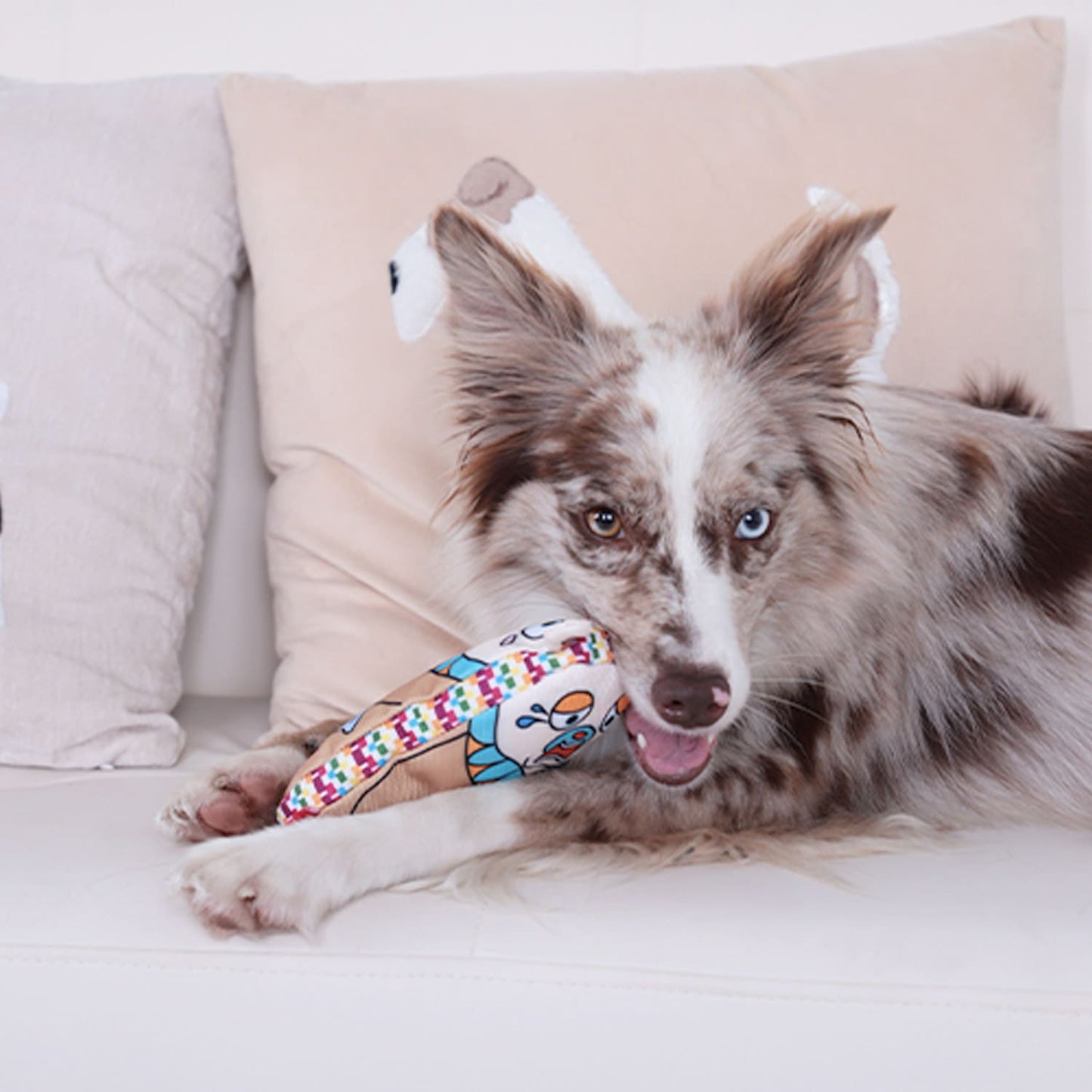 GiGwi Moody Club Bear - Large