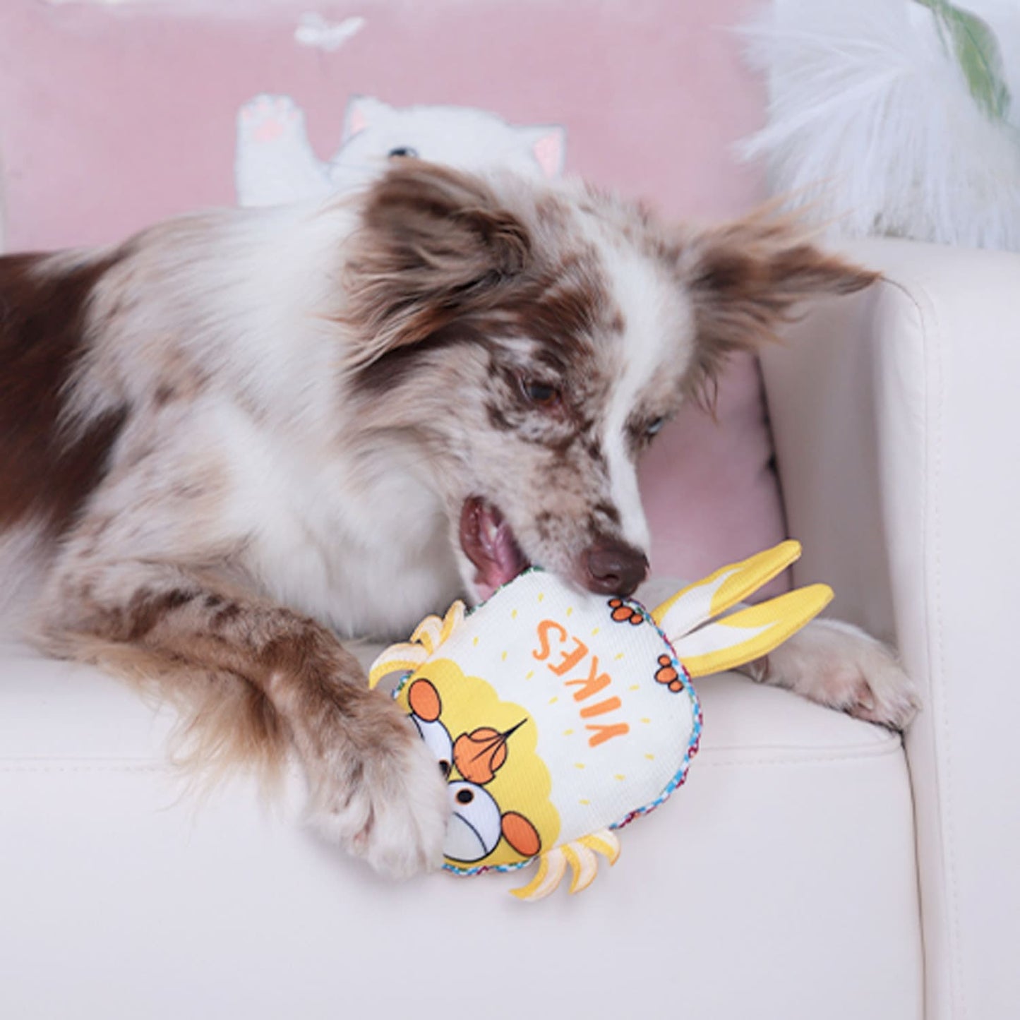 GiGwi Moody Club Bird - Large