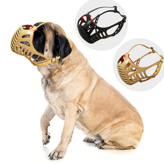 Dog Fever Molossian Muzzle with Leather Strap